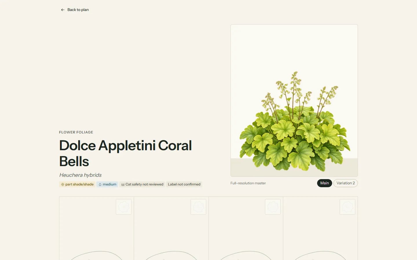 Plant page for Dolce Appletini coral bells with a large botanical illustration and light, water and review badges