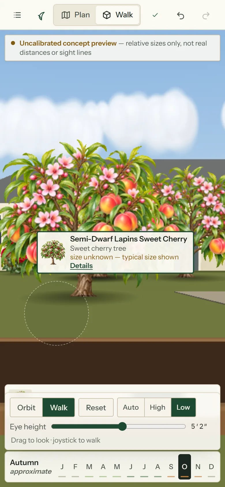 Phone 3D walk view close to a blossoming fruit tree with a plant label and eye-height controls